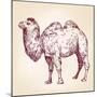 Camel Vector Illustration-VladisChern-Mounted Art Print