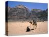 Camel, Wadi Rum, Jordan, Middle East-Michael Short-Stretched Canvas