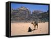 Camel, Wadi Rum, Jordan, Middle East-Michael Short-Framed Stretched Canvas