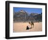 Camel, Wadi Rum, Jordan, Middle East-Michael Short-Framed Photographic Print