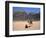 Camel, Wadi Rum, Jordan, Middle East-Michael Short-Framed Photographic Print