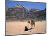 Camel, Wadi Rum, Jordan, Middle East-Michael Short-Mounted Photographic Print