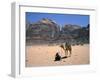 Camel, Wadi Rum, Jordan, Middle East-Michael Short-Framed Photographic Print