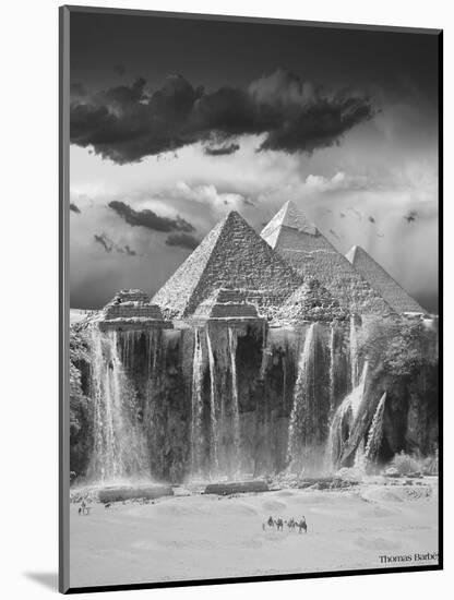 Camel Wash Station-Thomas Barbey-Mounted Giclee Print