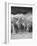 Camel Wash Station-Thomas Barbey-Framed Giclee Print