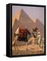 Camel with Woven Saddle Cloth Being Led Towards Pyramids by Man in White Robe, at Giza, Egypt-null-Framed Stretched Canvas