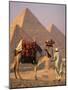 Camel with Woven Saddle Cloth Being Led Towards Pyramids by Man in White Robe, at Giza, Egypt-null-Mounted Photographic Print