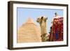 Camel-null-Framed Photographic Print