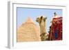 Camel-null-Framed Photographic Print