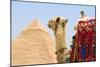 Camel-null-Mounted Photographic Print