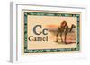 Camel-null-Framed Art Print