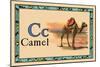 Camel-null-Mounted Art Print