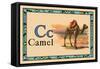 Camel-null-Framed Stretched Canvas