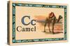 Camel-null-Stretched Canvas