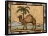 Camel-Robin Betterley-Framed Stretched Canvas