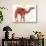 Camel-Teofilo Olivieri-Giclee Print displayed on a wall