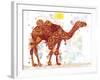 Camel-Teofilo Olivieri-Framed Giclee Print