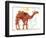 Camel-Teofilo Olivieri-Framed Premium Giclee Print