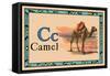 Camel-null-Framed Stretched Canvas