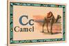 Camel-null-Stretched Canvas