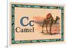 Camel-null-Framed Art Print