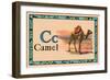 Camel-null-Framed Art Print