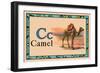 Camel-null-Framed Art Print