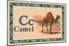 Camel-null-Mounted Art Print