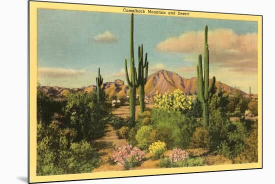 Camelback Mountain, Saguaros, Arizona-null-Mounted Art Print