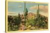 Camelback Mountain, Saguaros, Arizona-null-Stretched Canvas