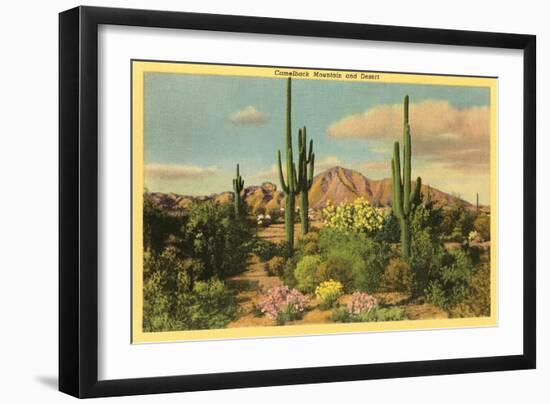 Camelback Mountain, Saguaros, Arizona-null-Framed Art Print