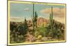 Camelback Mountain, Saguaros, Arizona-null-Mounted Art Print