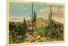 Camelback Mountain, Saguaros, Arizona-null-Mounted Premium Giclee Print