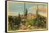 Camelback Mountain, Saguaros, Arizona-null-Framed Stretched Canvas