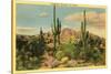 Camelback Mountain, Saguaros, Arizona-null-Stretched Canvas