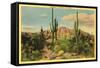 Camelback Mountain, Saguaros, Arizona-null-Framed Stretched Canvas