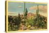 Camelback Mountain, Saguaros, Arizona-null-Stretched Canvas