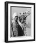 Cameldriver Near the Pyramids, Egypt, 1937-Martin Hurlimann-Framed Giclee Print