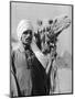 Cameldriver Near the Pyramids, Egypt, 1937-Martin Hurlimann-Mounted Giclee Print