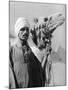 Cameldriver Near the Pyramids, Egypt, 1937-Martin Hurlimann-Mounted Giclee Print