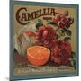 Camelia Brand - Redlands, California - Citrus Crate Label-Lantern Press-Mounted Art Print