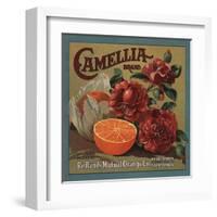 Camelia Brand - Redlands, California - Citrus Crate Label-Lantern Press-Framed Art Print