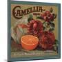 Camelia Brand - Redlands, California - Citrus Crate Label-Lantern Press-Mounted Art Print