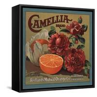 Camelia Brand - Redlands, California - Citrus Crate Label-Lantern Press-Framed Stretched Canvas
