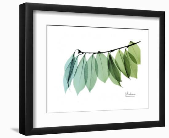 Camelia Leaf Green_Blue-Albert Koetsier-Framed Premium Giclee Print