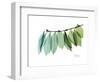 Camelia Leaf Green_Blue-Albert Koetsier-Framed Premium Giclee Print