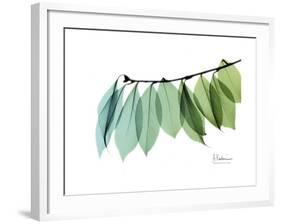 Camelia Leaf Green_Blue-Albert Koetsier-Framed Premium Giclee Print