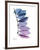 Camelia Leaf in Purp-Albert Koetsier-Framed Premium Giclee Print