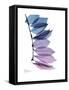 Camelia Leaf in Purp-Albert Koetsier-Framed Stretched Canvas