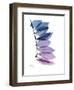 Camelia Leaf in Purp-Albert Koetsier-Framed Premium Giclee Print